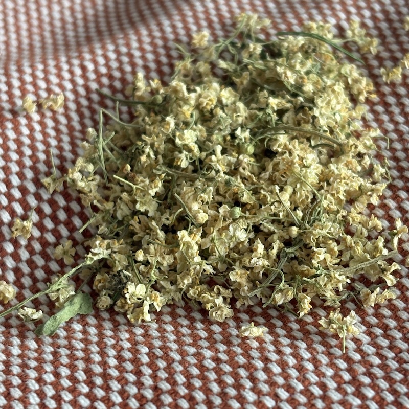 Herbata kwiat bzu_1