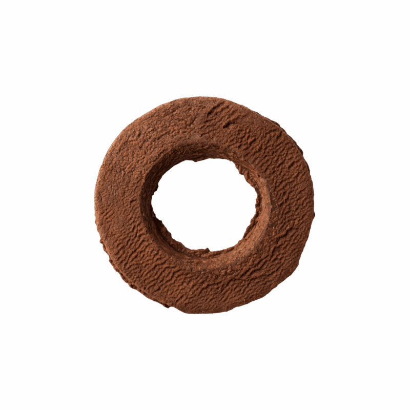 XM-Brownie-solo-scaled